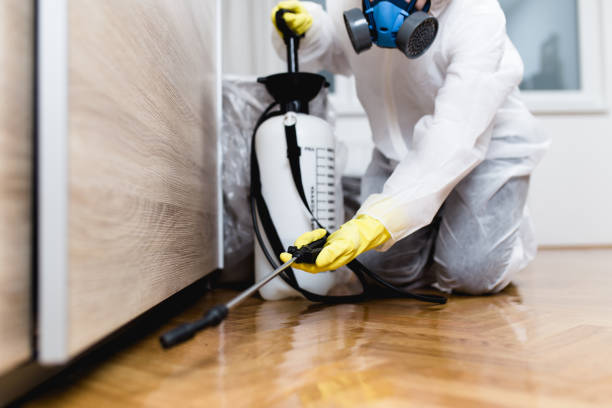 Pest Prevention Services in Borger, TX