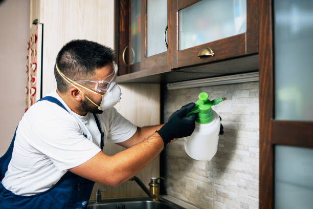 Trusted Borger, TX Pest Control Experts