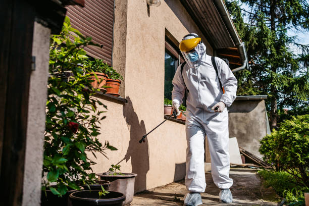 Best Pest Control Near Me  in Borger, TX